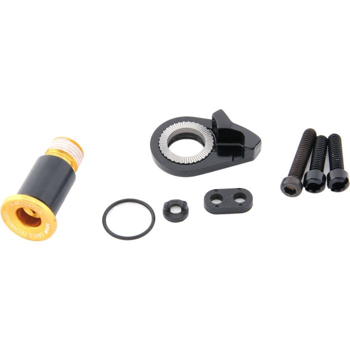 SRAM XX1 Eagle B-Bolt & Limit Screw Kit Gold 11.7518.076.000