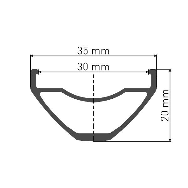 DT SWISS E 1900 SPLINE Front Wheel 27.5 30mm Clincher Centerlock 15x100mm W0E1900AGIXSA18845