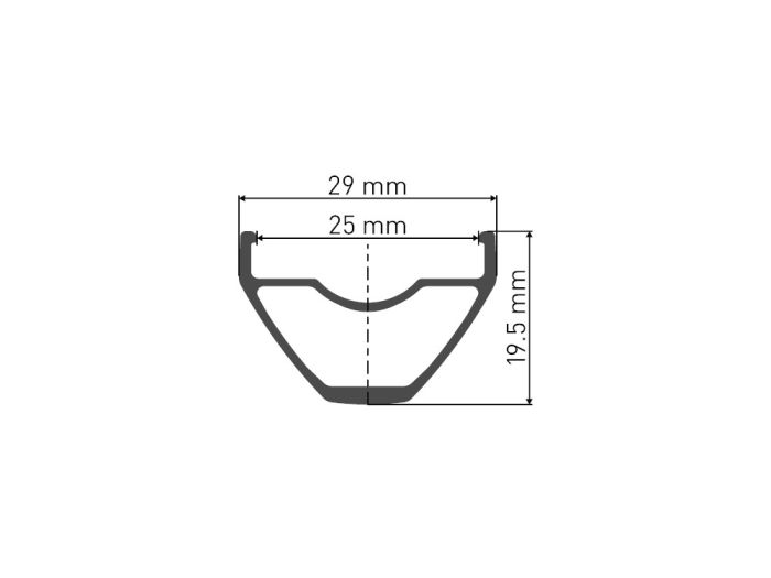 Rear wheel DT Swiss X1900 Spline 25 29 "Centerlock Shimano HG 14x142mm